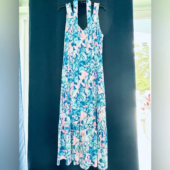 Lilly Pulitzer Floral Sleeveless Maxi Dress - Picture 5 of 6